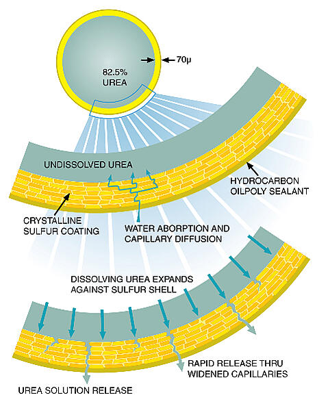 SulfurCoatingBreakdown